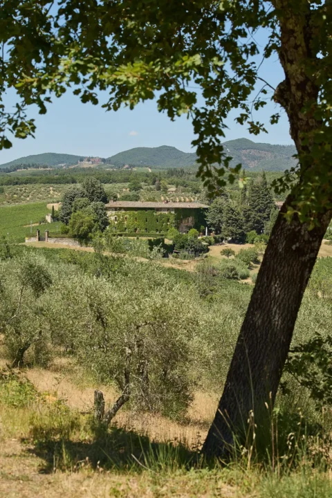 castello di bossi wedding castello di bossi wedding