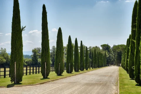il borro wedding il borro wedding