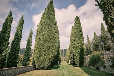 villa cetinale wedding villa cetinale wedding