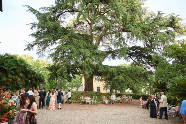 the extraordinaire tuscany villa di monaciano giant tree