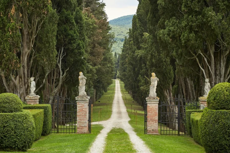 the extraordinaire borgo stomennano driveway lined with cypress trees