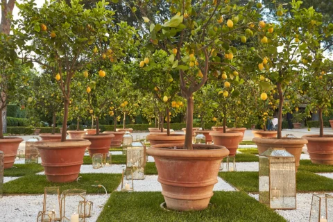 the extraordinaire rome villa aurelia classic black tie affair