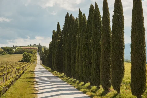 the extraordinaire tuscany borgo di castelvecchio family style welcome dinner