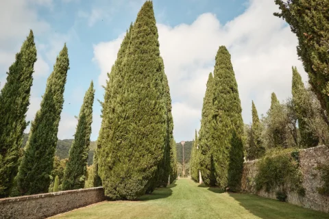 the extraordinaire tuscany villa cetinale baroque garden celebration