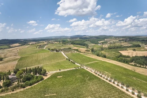 the extraordinaire tuscany villa di monaciano romantic vineyard celebration