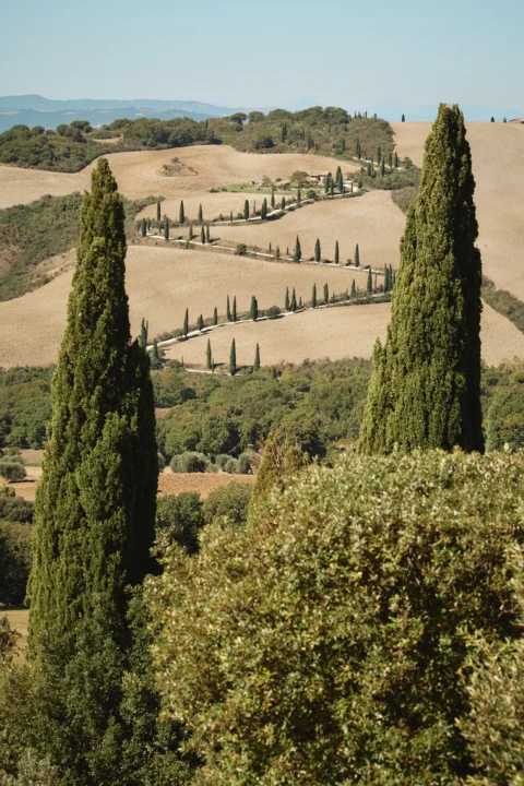 the extraordinaire villa la foce enchanted garden celebration